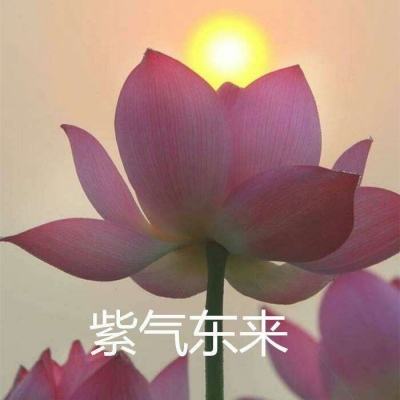 幻想女孩追寻之诗游戏下载